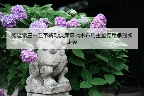 阿隆索三中卫革新勒沃库森战术布局重塑德甲争冠新走势